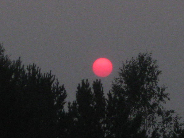 Светлана Хусаинова