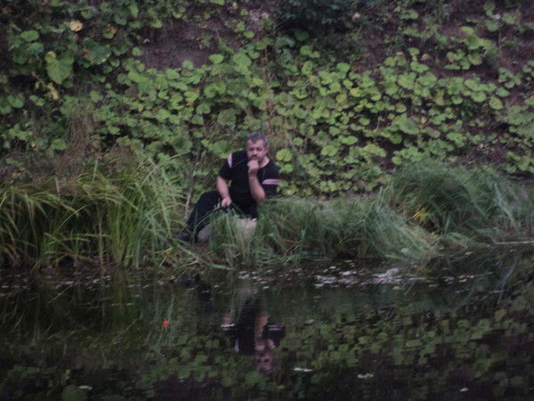 Александр Тимофеев