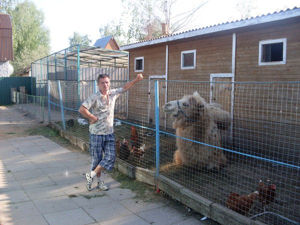 Андрей Новиков