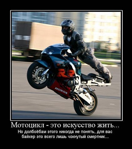 Андрей Репетюк