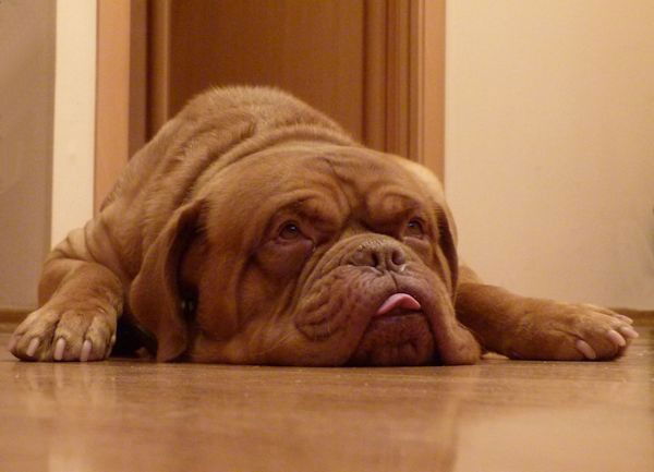 Александр Тюрин