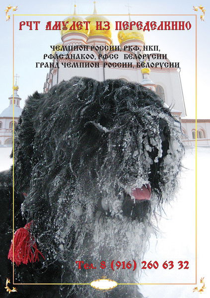 Наталья Спирина