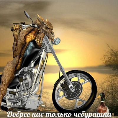 Денис Казённов