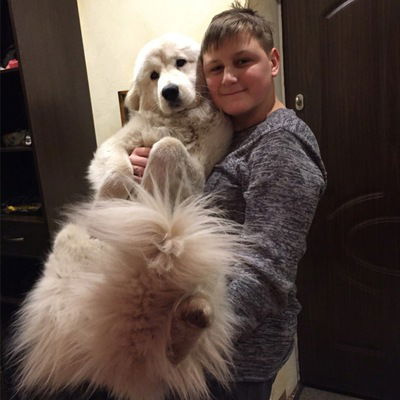 Георгий Каратаев