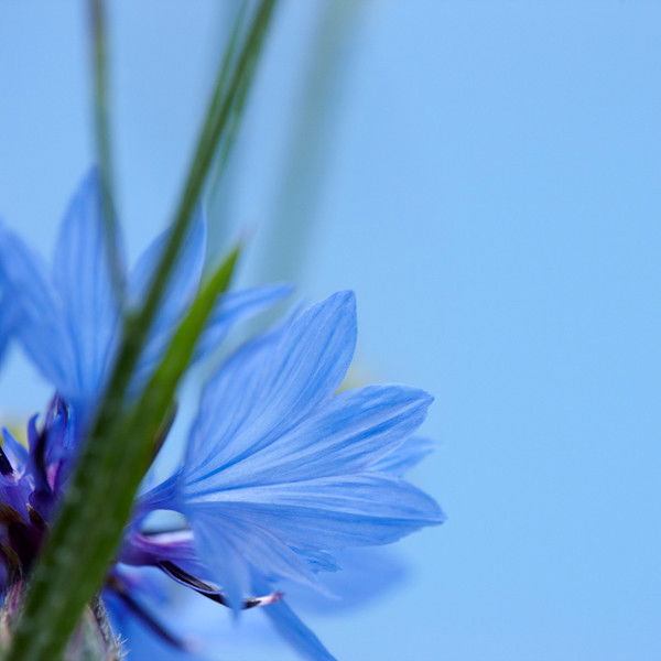 Мохият Вохидова