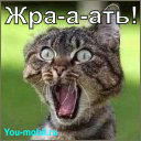 Евгений Карнаухов