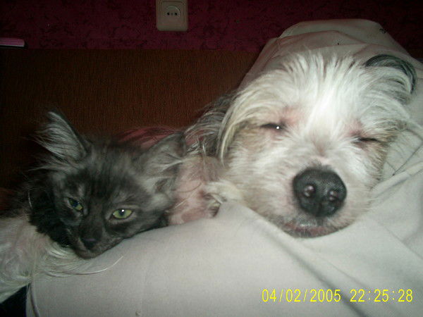 Наталия Дмитриева