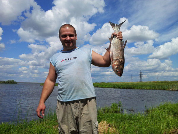 Алексей Юркин