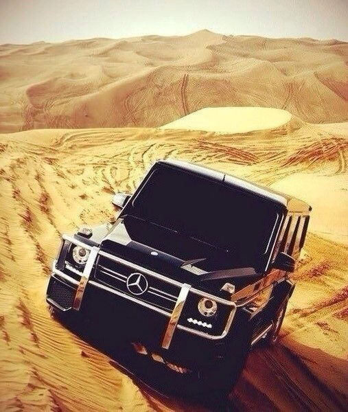 Максим Шадрин