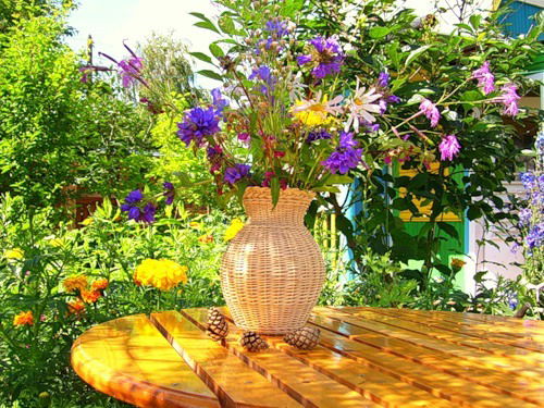 Александра Потапенко