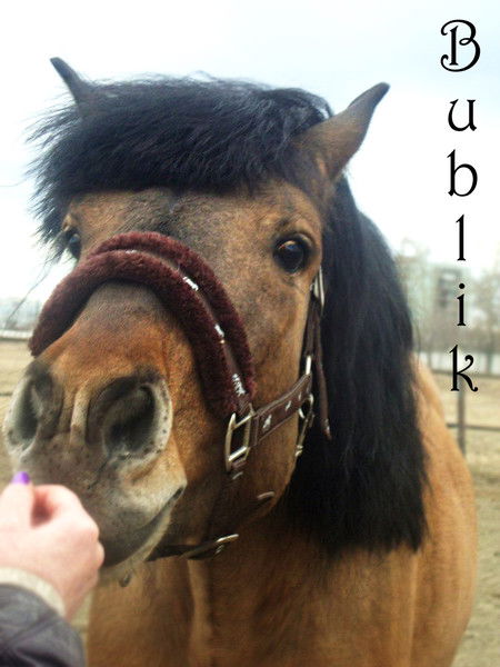 Екатерина Шестакова