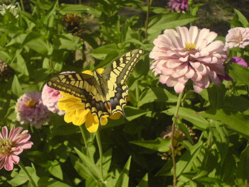 Наталья Халменова