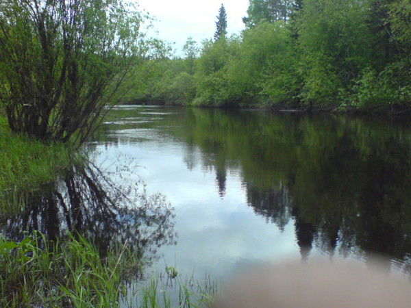 Александр Калинин