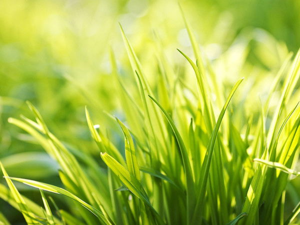 Алина Васина