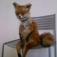 Юрий Бубнов