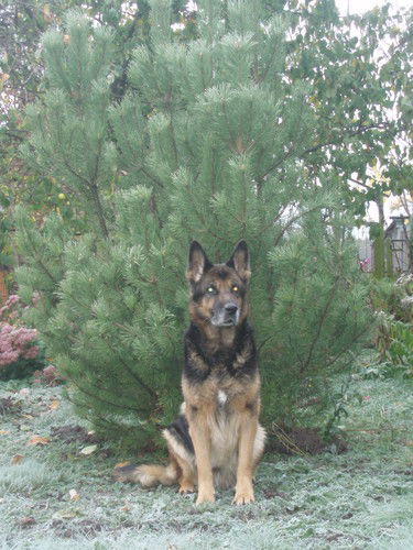 Наталья Колесникова