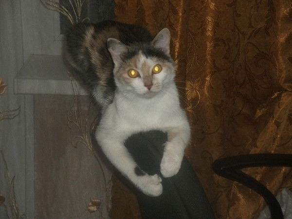 Денис Польских