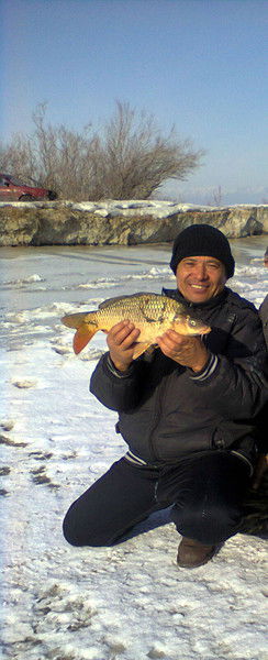 Максим Мусалимов