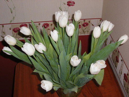 Анна Ведерникова