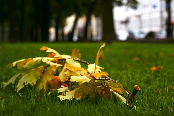 Анар Сарсенова