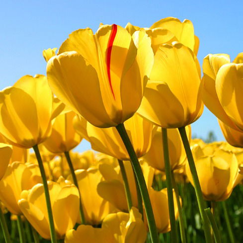 Дамир Тулегенов