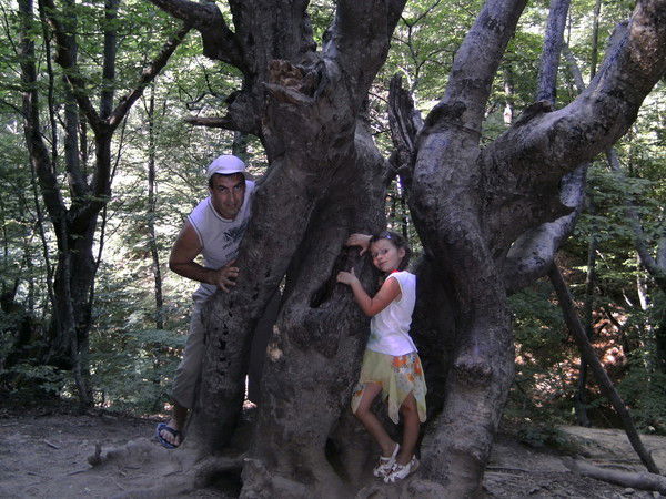 Александр Науменко