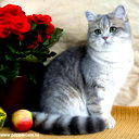 Мария Киселёва