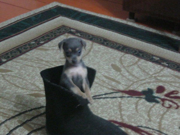 Людмила Мартыненко