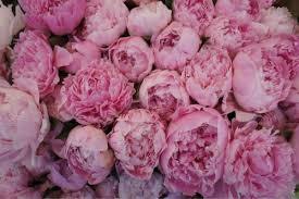 Татьяна Жарикова