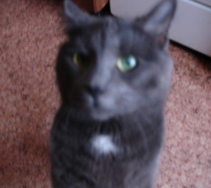 Андрей Гарелкин