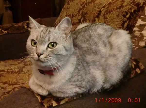 Лариса Воронкова