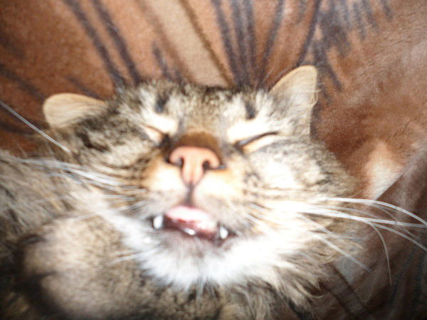 Юра Владимиров