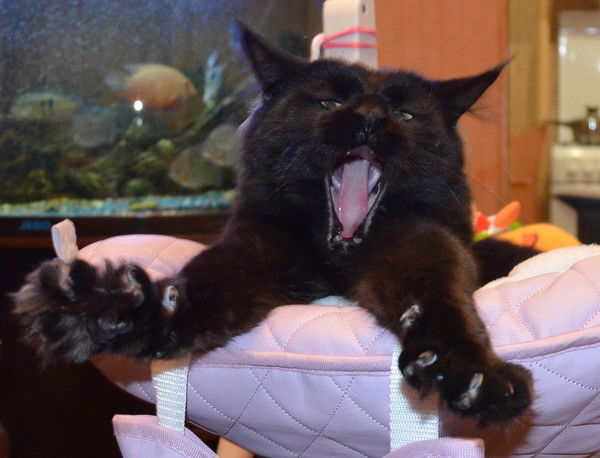 Наталья Сергеевна