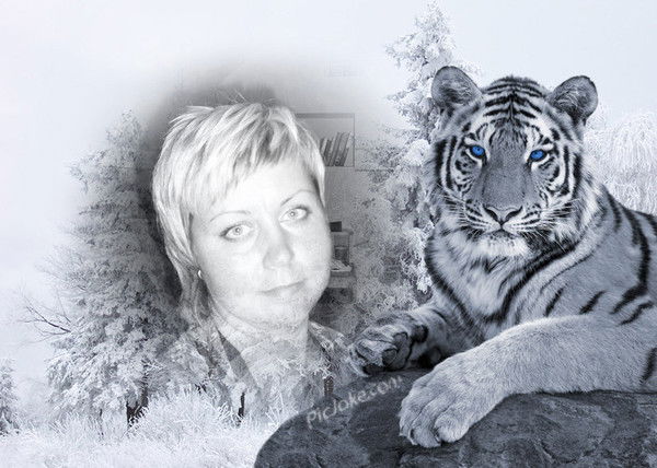 Сытая Кошка