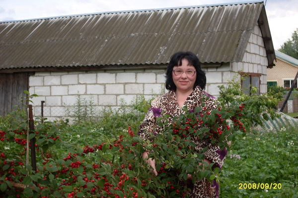 Татьяна Петрова
