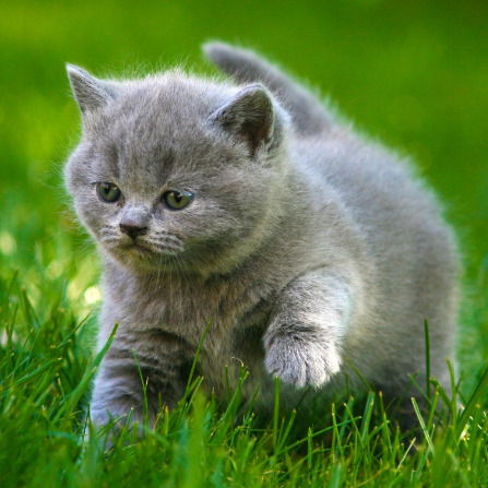 Наталия Филиппова