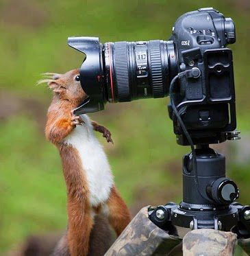 Светлана Дунаева