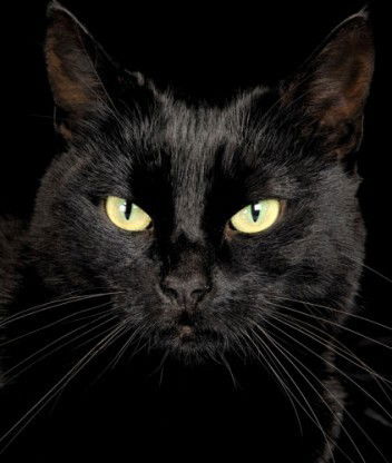 Женя Ланецкая