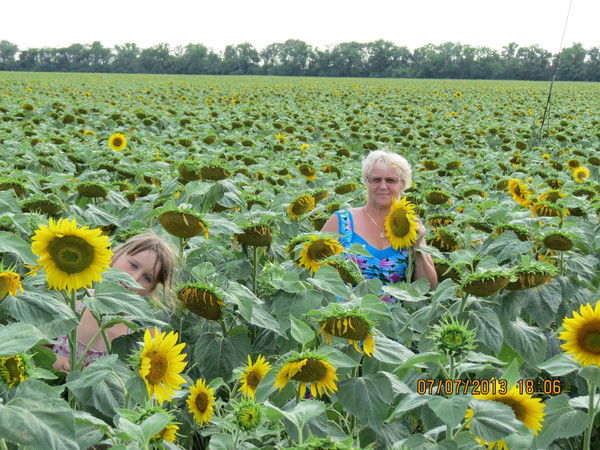 Нина Ерофеева