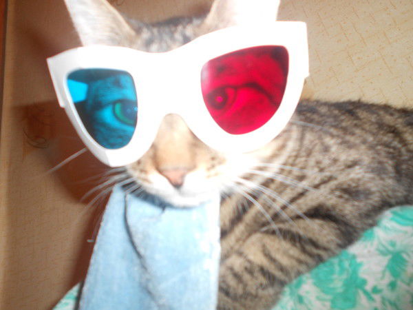 Наталия Нечипорук