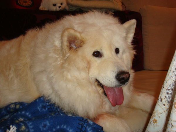 Жанна Маркова