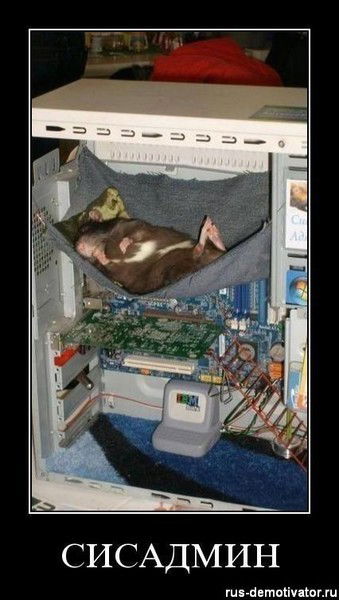 Андрей Масленников