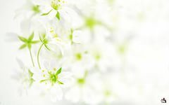 Алёнка Юдакова