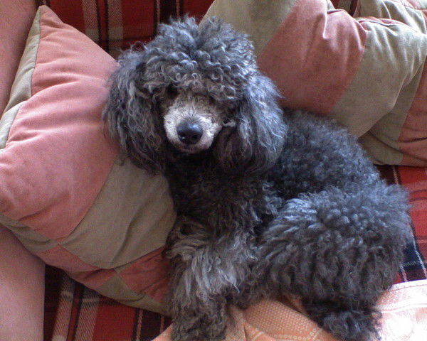 Сергей Смирнов