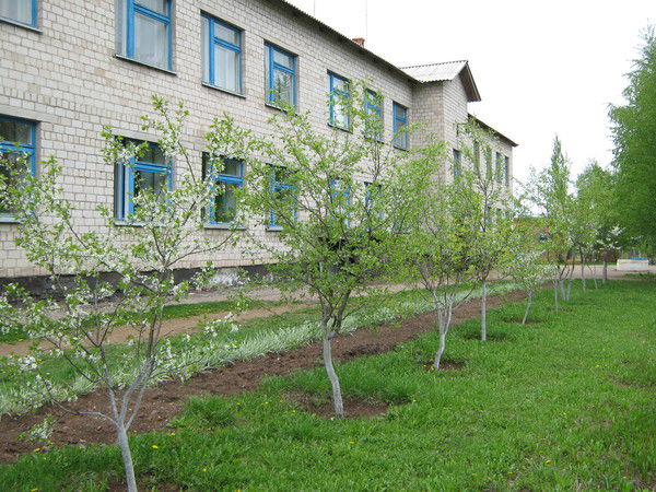 Моу Сош Триключа