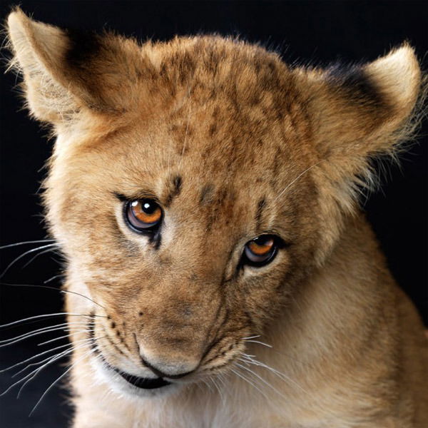 Татьяна Васильева