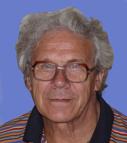 Владимир Согрин