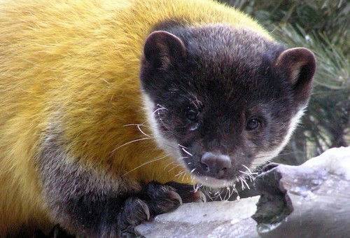 Вася Пупкин