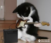 Ильдар Сайдашев