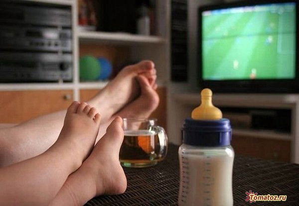 Елена Фадеева